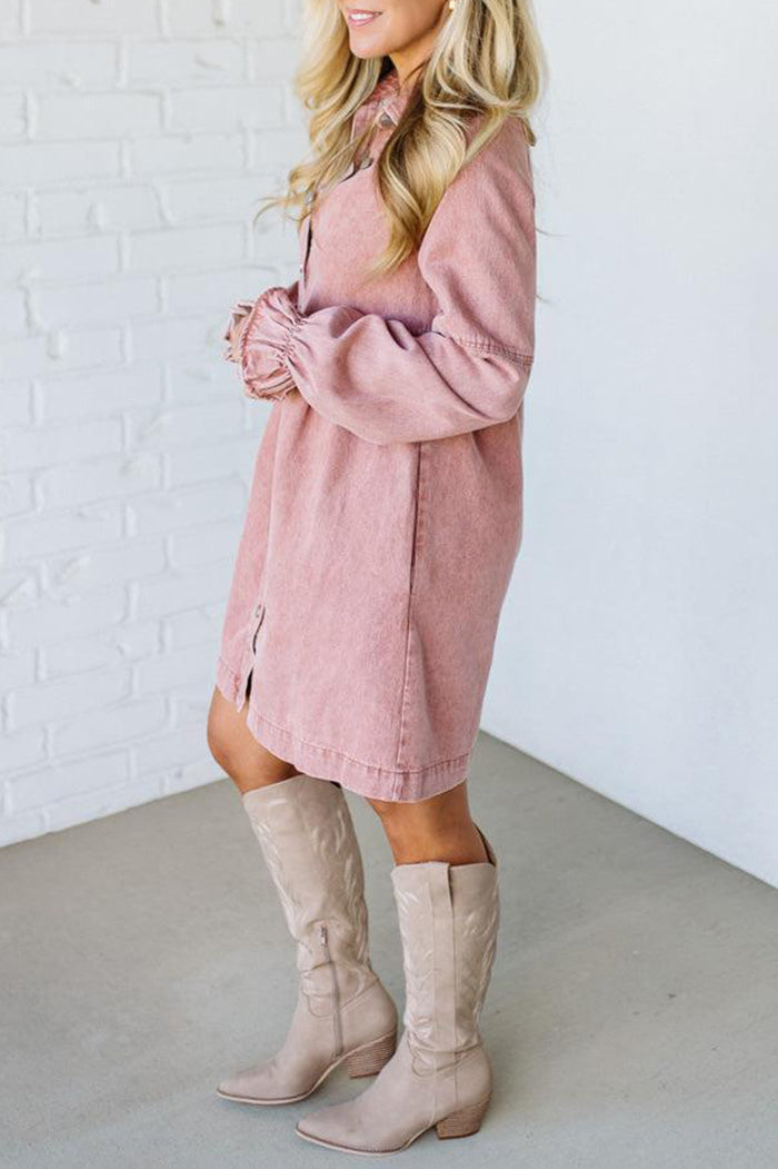 Pocketed Denim Shirt Dress
