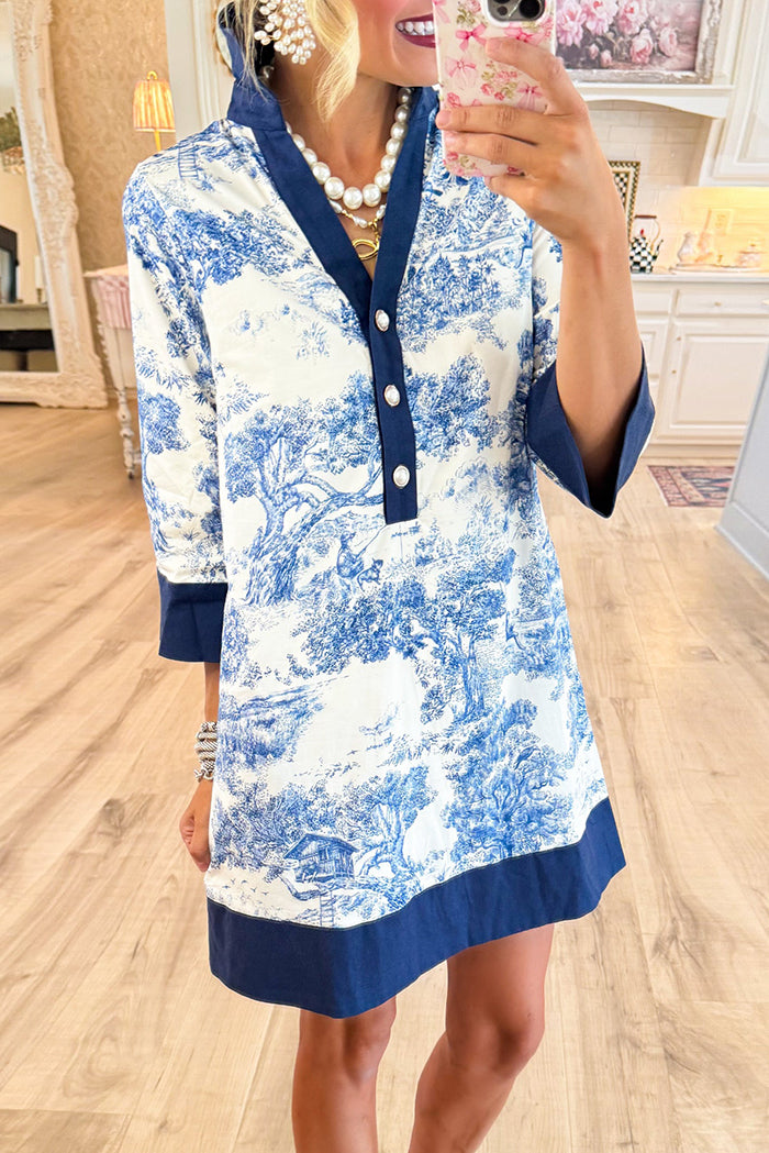 Blue Toile 3/4 Sleeve Dress