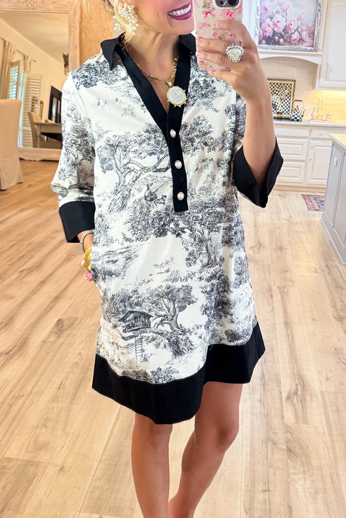 Blue Toile 3/4 Sleeve Dress