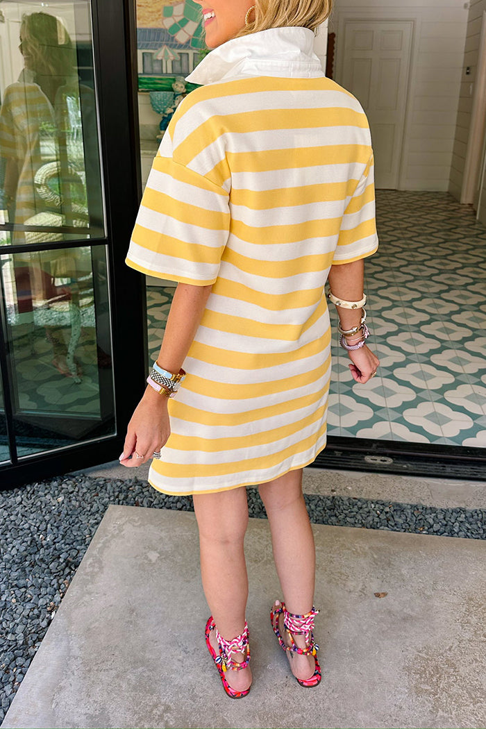 Stripe Collared Polo Dress
