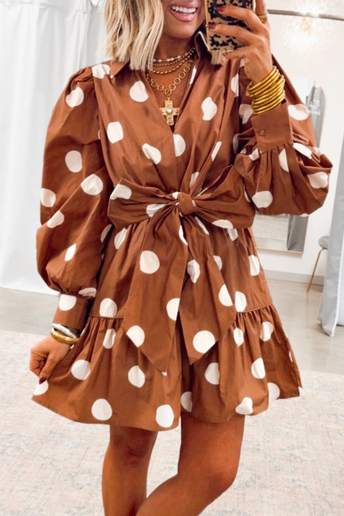 Polka Dot Tie Waist Mini Dress