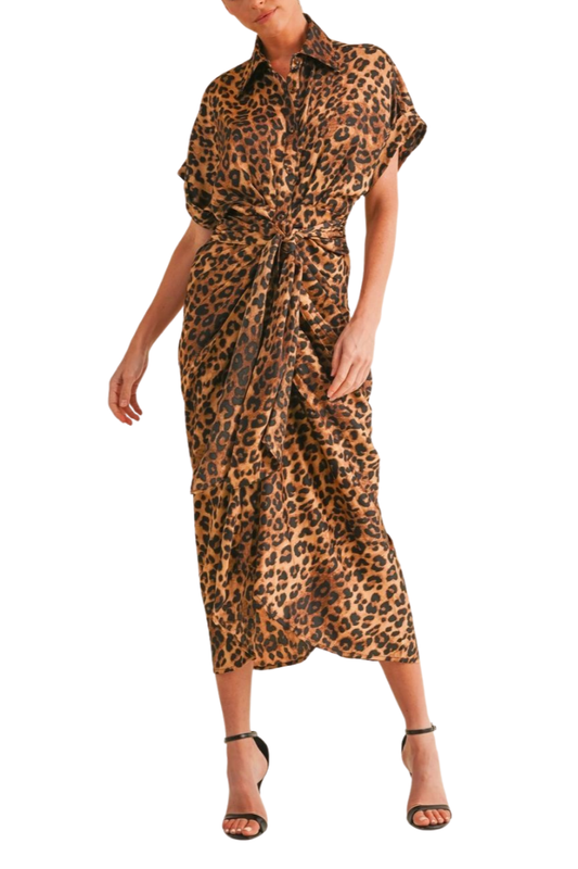 Leopard Button-Down Dress