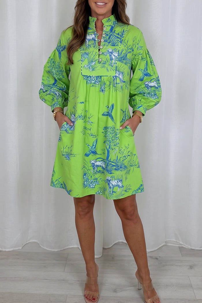 Ruffle Placket Printed Long Sleeve Pocket Dress