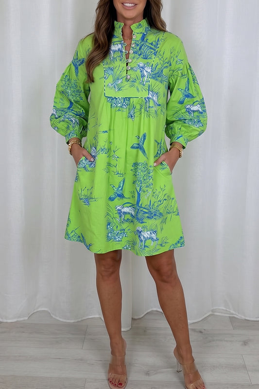 Ruffle Placket Printed Long Sleeve Pocket Dress