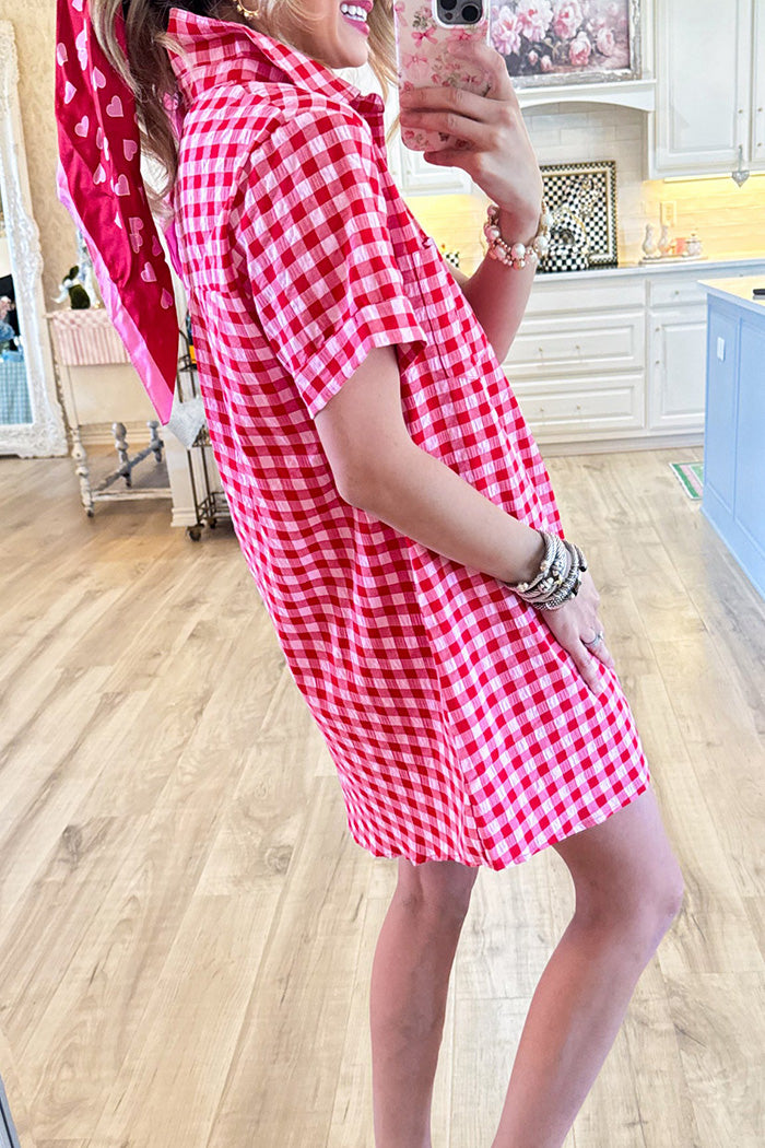Red Gingham Pocket Shirt Dress