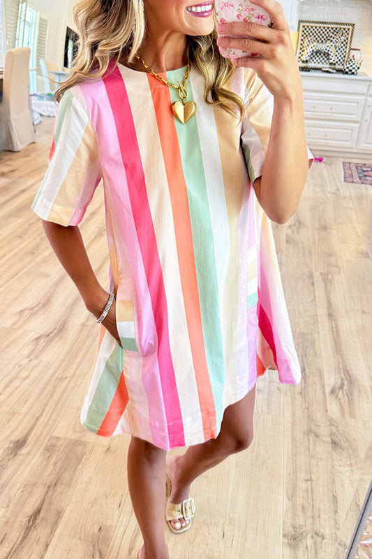 Multi Color Stripe Pocket Dress