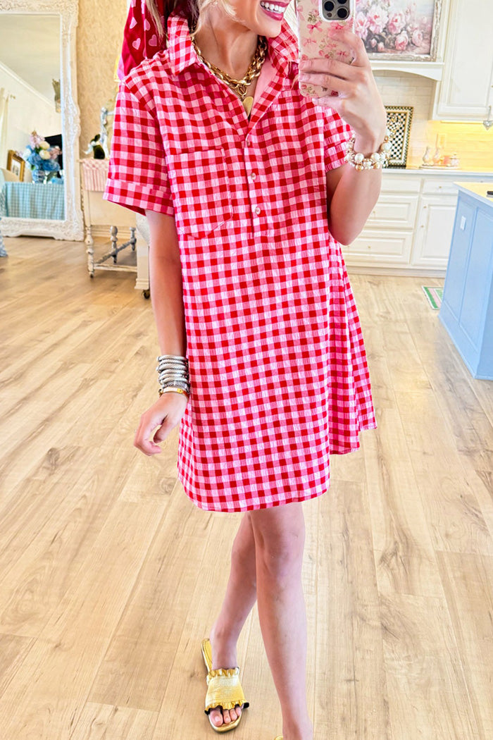 Red Gingham Pocket Shirt Dress