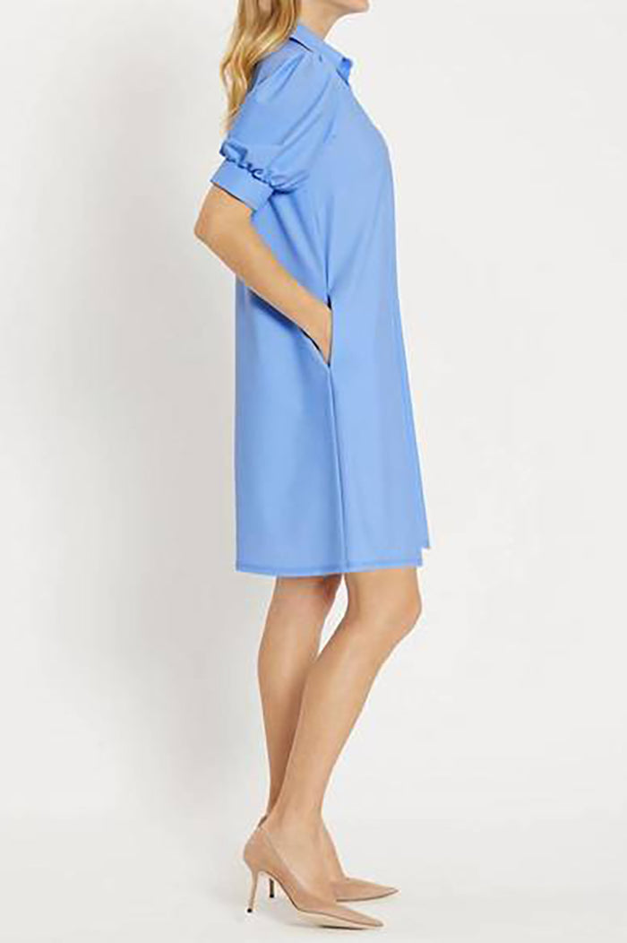 Pleated Sleeves Solid Color Dress