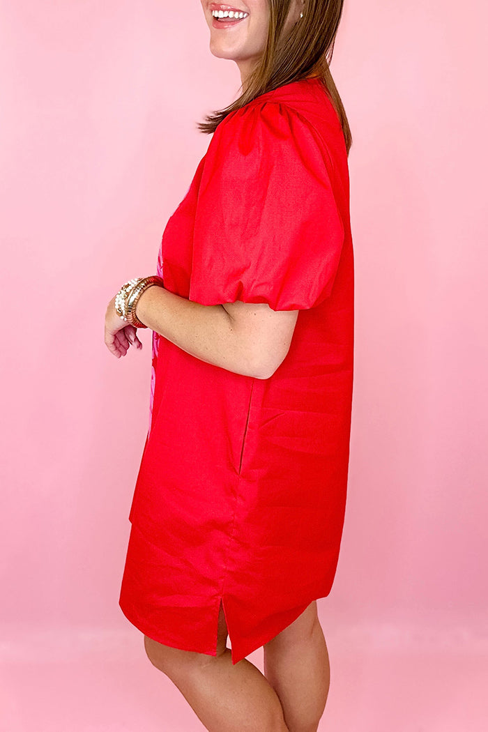 Puff Sleeve Embroidered Dress