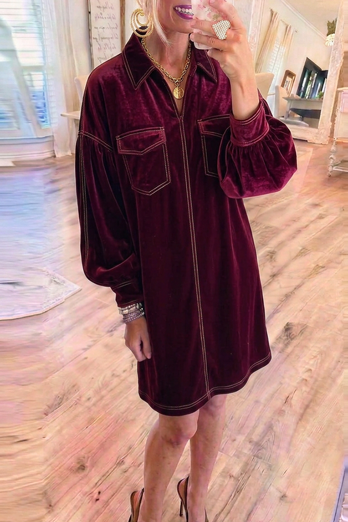 Burgundy Velvet Contrast Detail Pockets Balloon Sleeve Dress