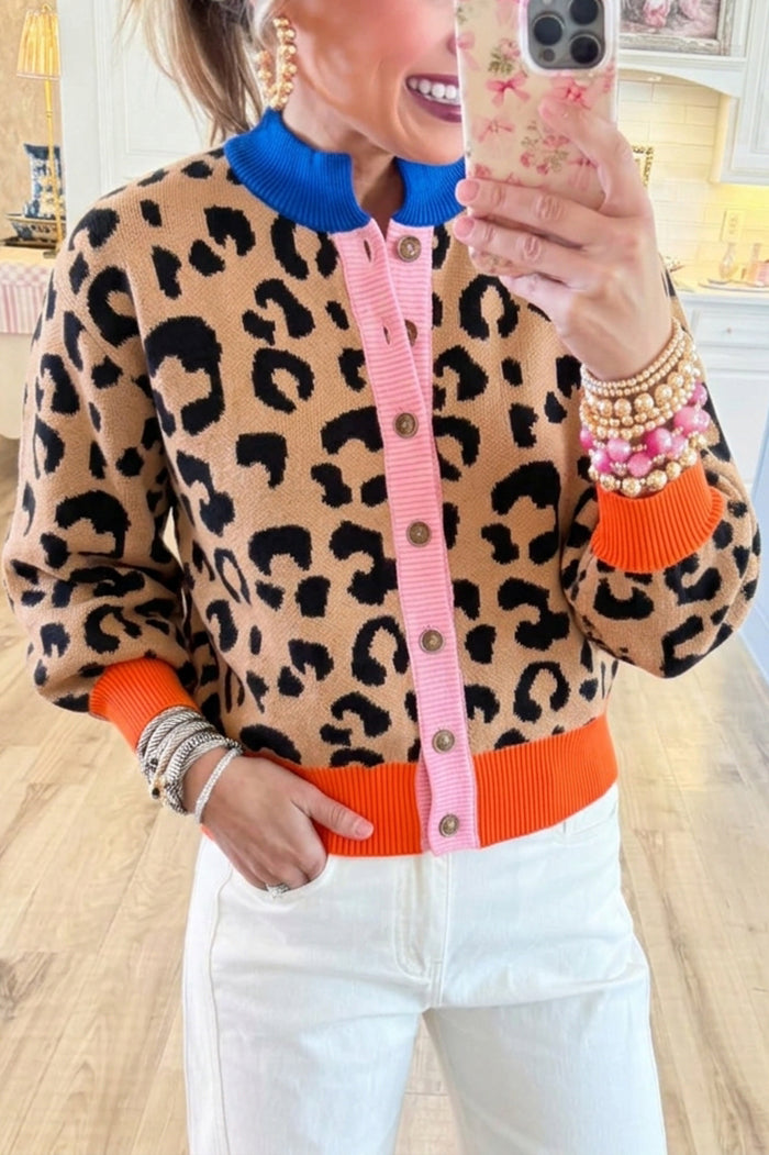 Leopard Knit Colorblock Button Sweater