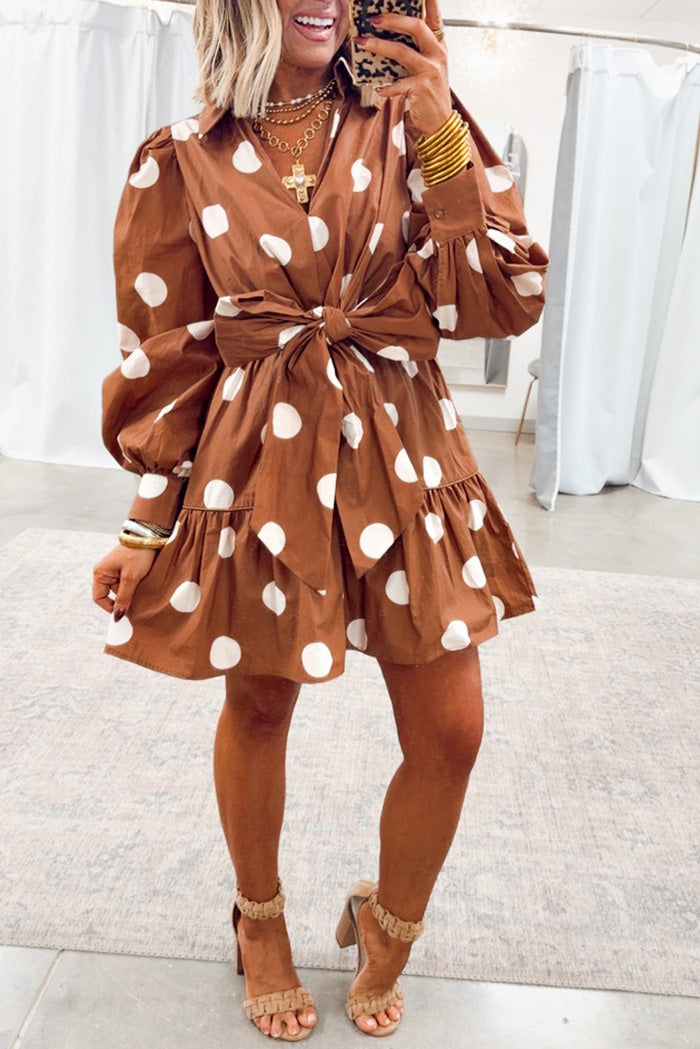 Polka Dot Tie Waist Mini Dress