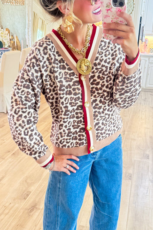 Animal Pattern Multicolor Ribbed Cardigan