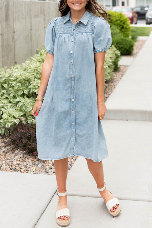 Denim Button Down Pocket Dress