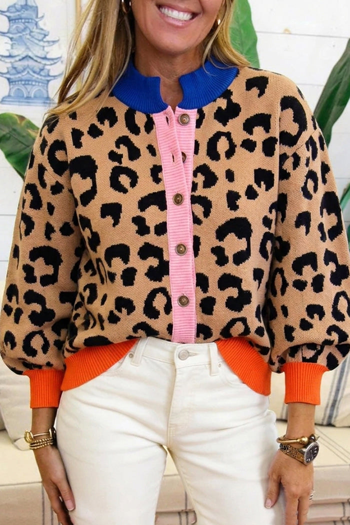 Leopard Knit Colorblock Button Sweater