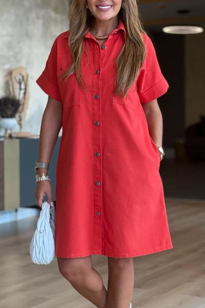 Casual Button Front Shirt Dress