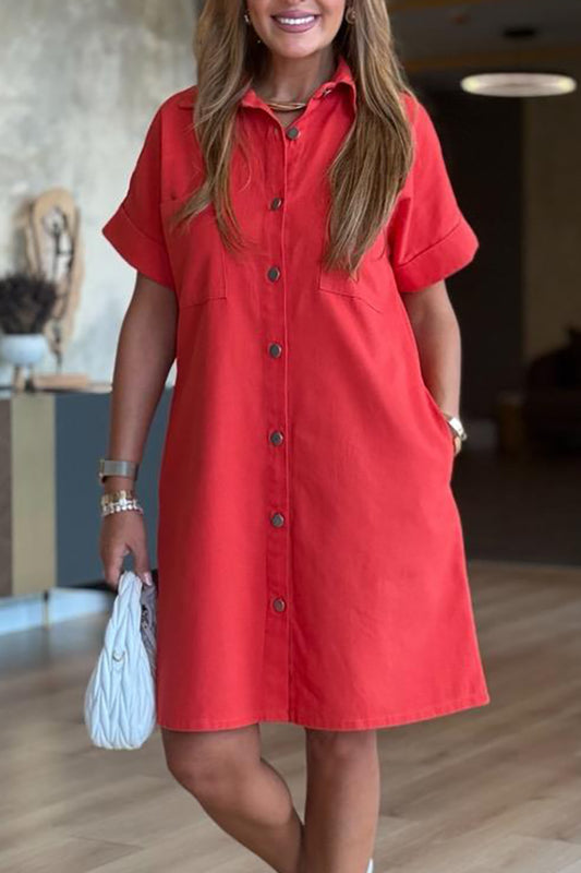 Casual Button Front Shirt Dress